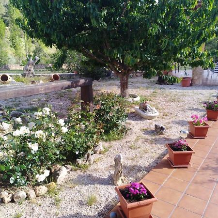 Cortijo Del Cuco Villa Riópar Dış mekan fotoğraf